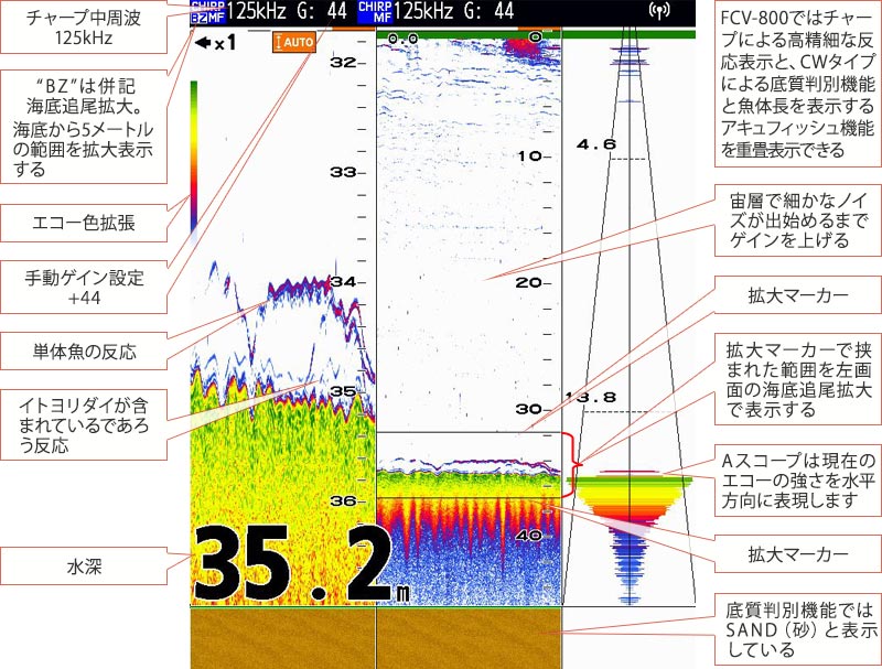 イトヨリダイを追う vol.3