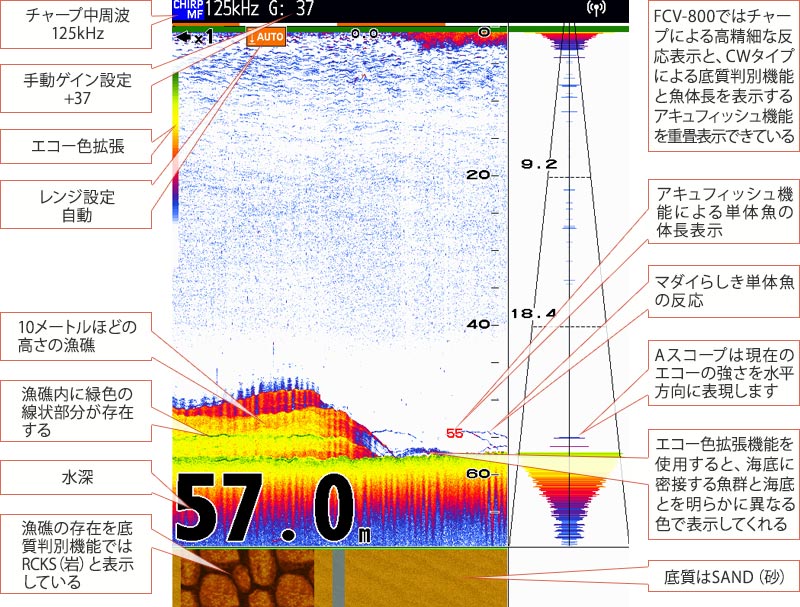 マダイを追う vol.17 GPS魚探映像