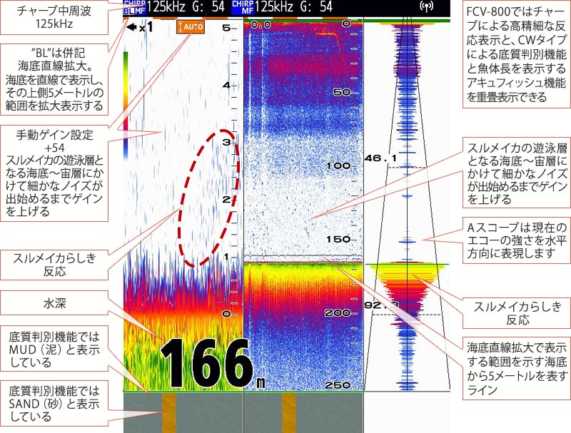 スルメイカを追う vol.6 GPS魚探映像