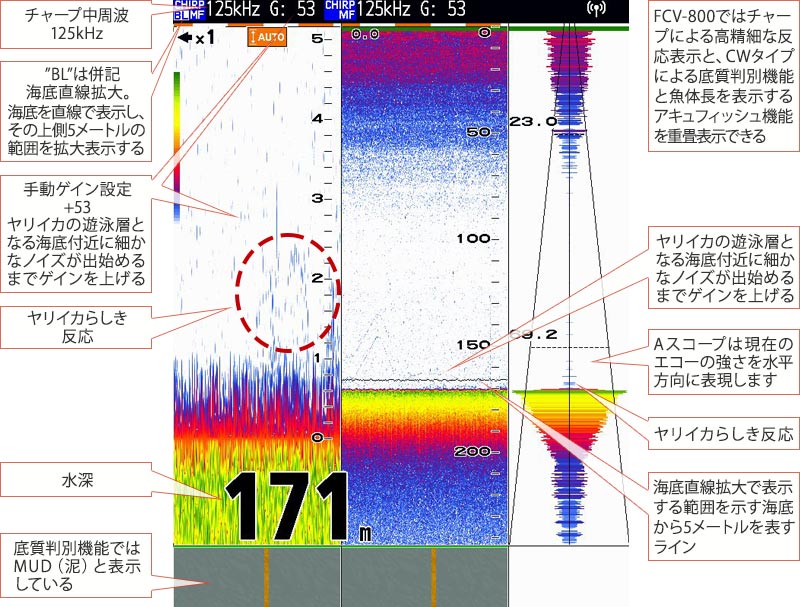 ヤリイカを追う vol.7 GPS魚探映像